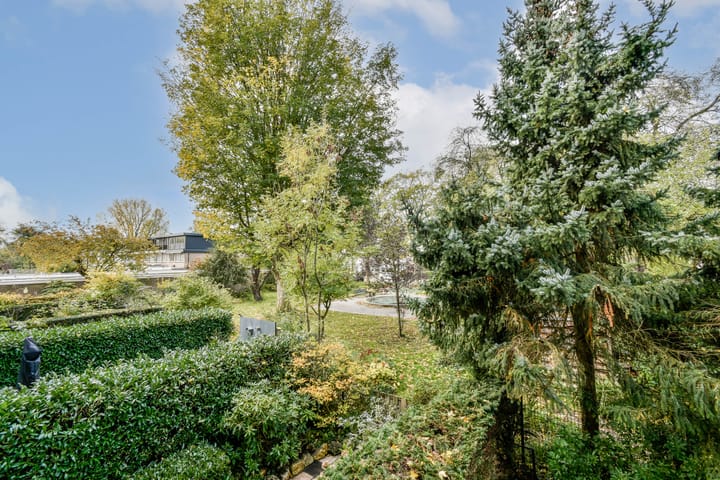 Foto 8 van Van der Boechorststraat 44