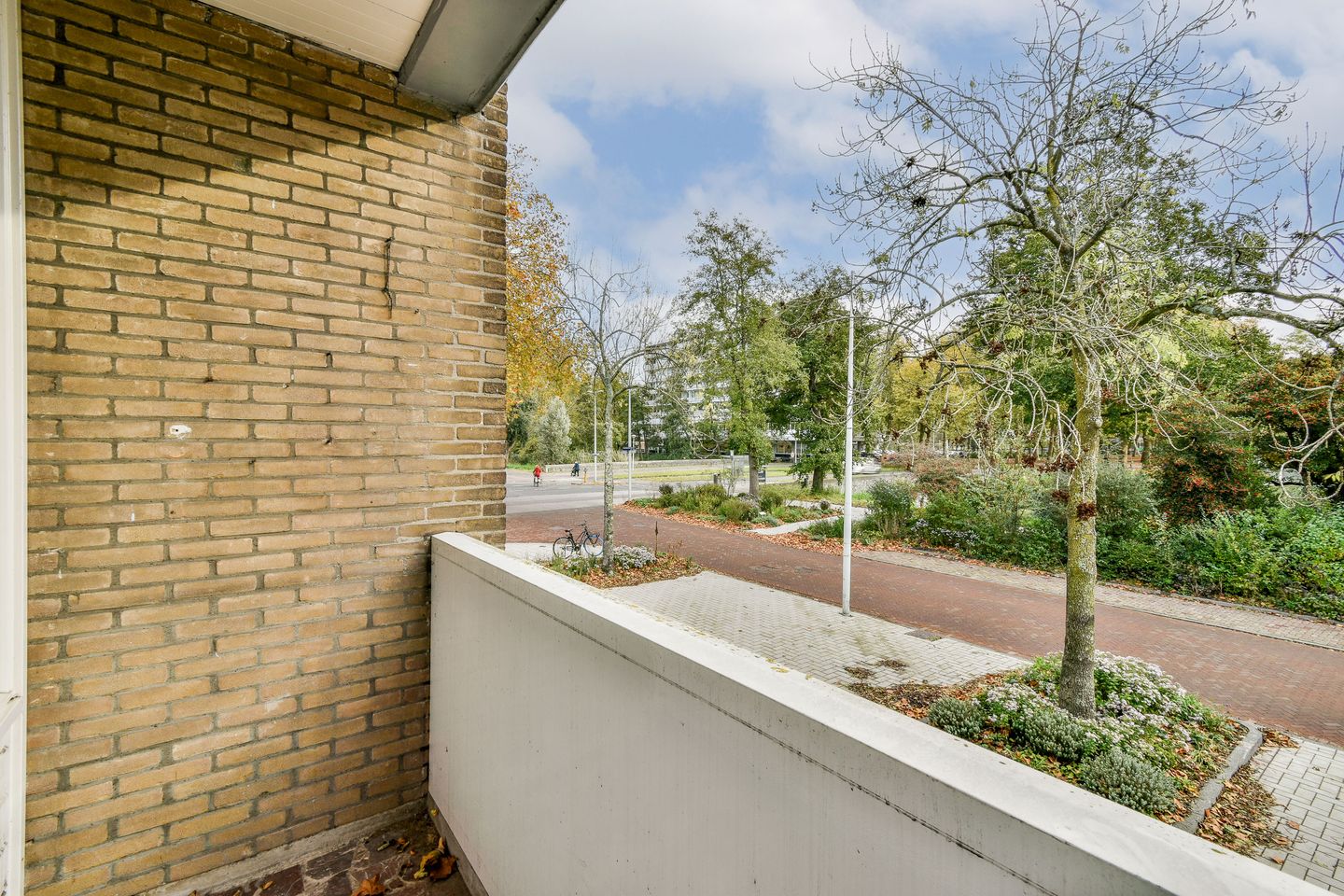 Photo 14 of Van der Boechorststraat 44