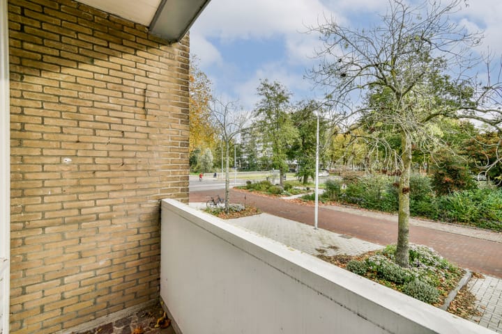 Foto 14 van Van der Boechorststraat 44