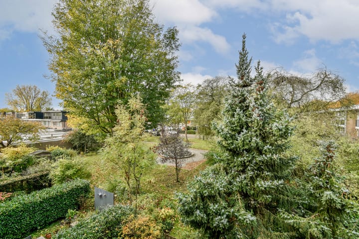 Foto 23 van Van der Boechorststraat 44