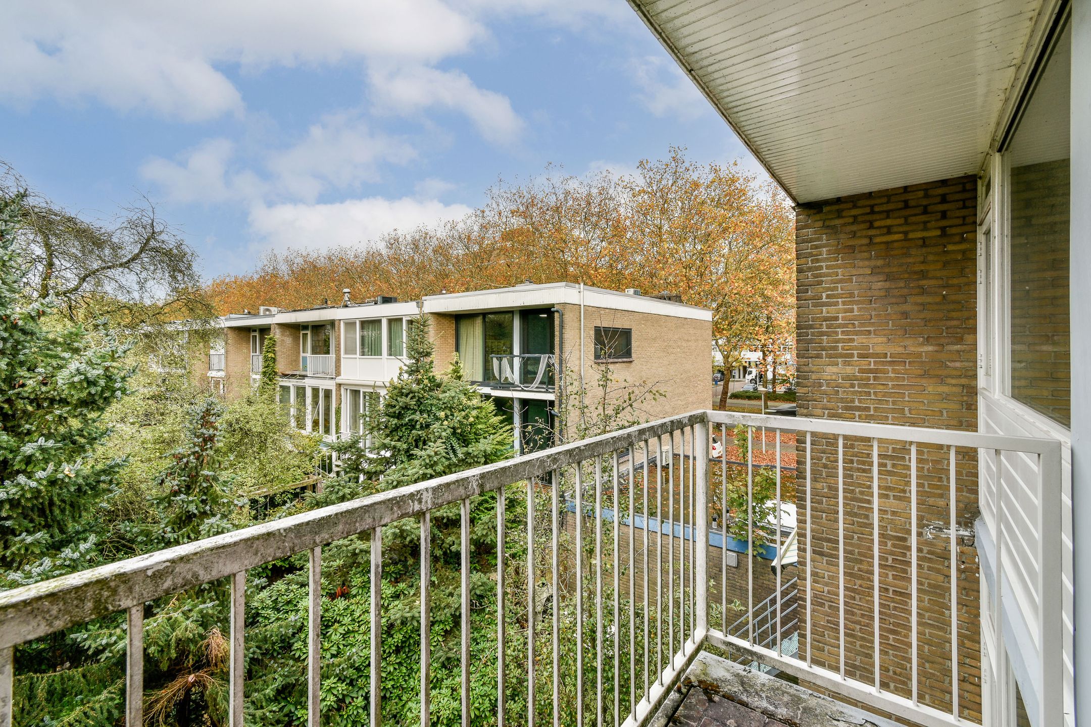 Photo 24 of Van der Boechorststraat 44