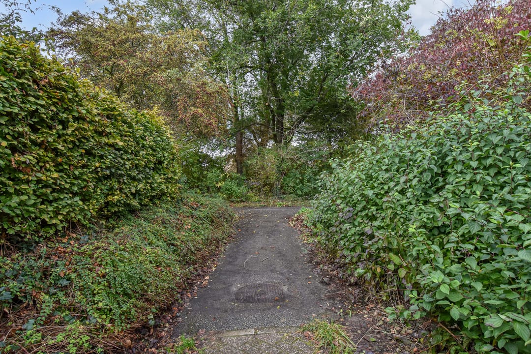 Photo 71 of Palestrinarode 30