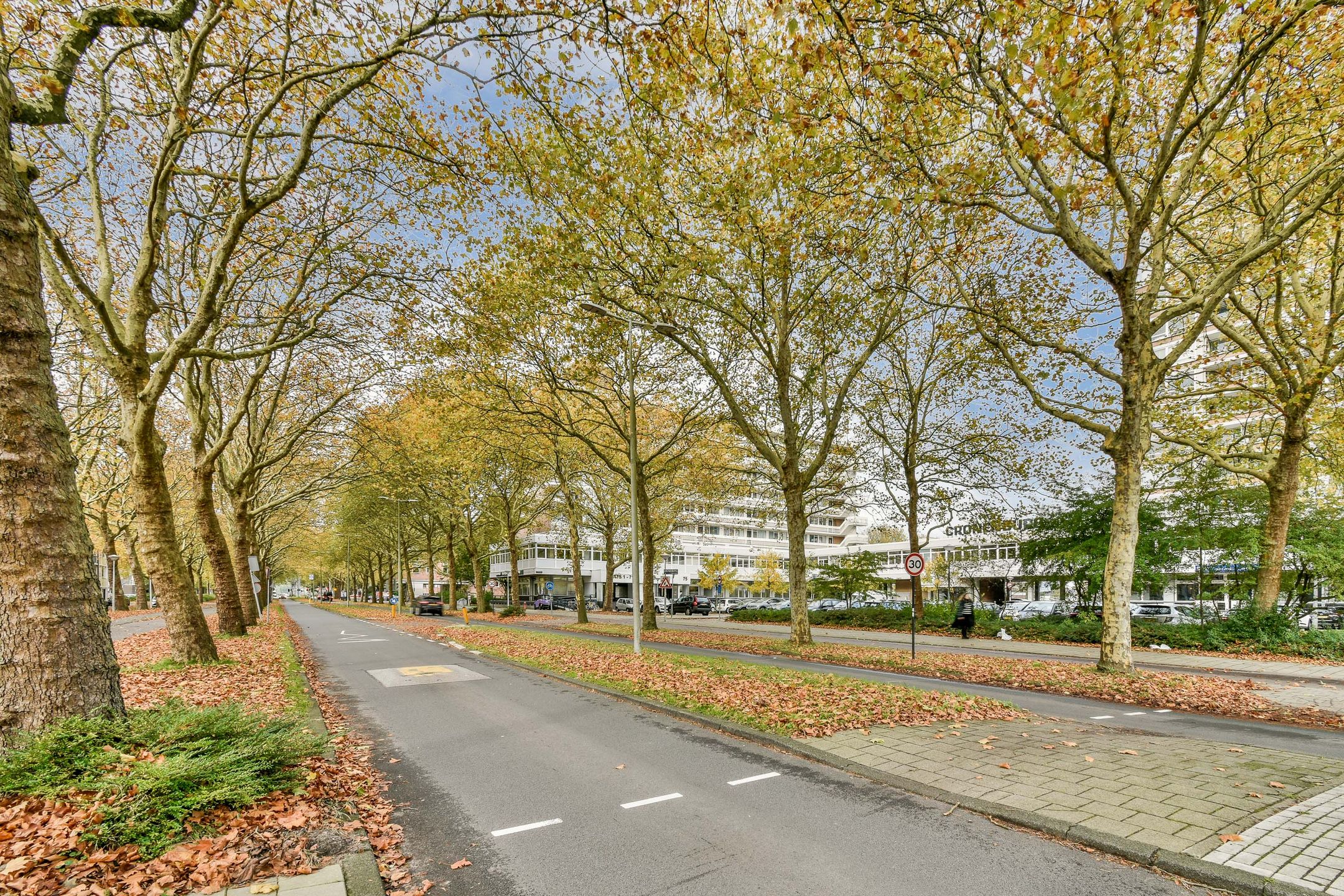Photo 33 of Van der Boechorststraat 44