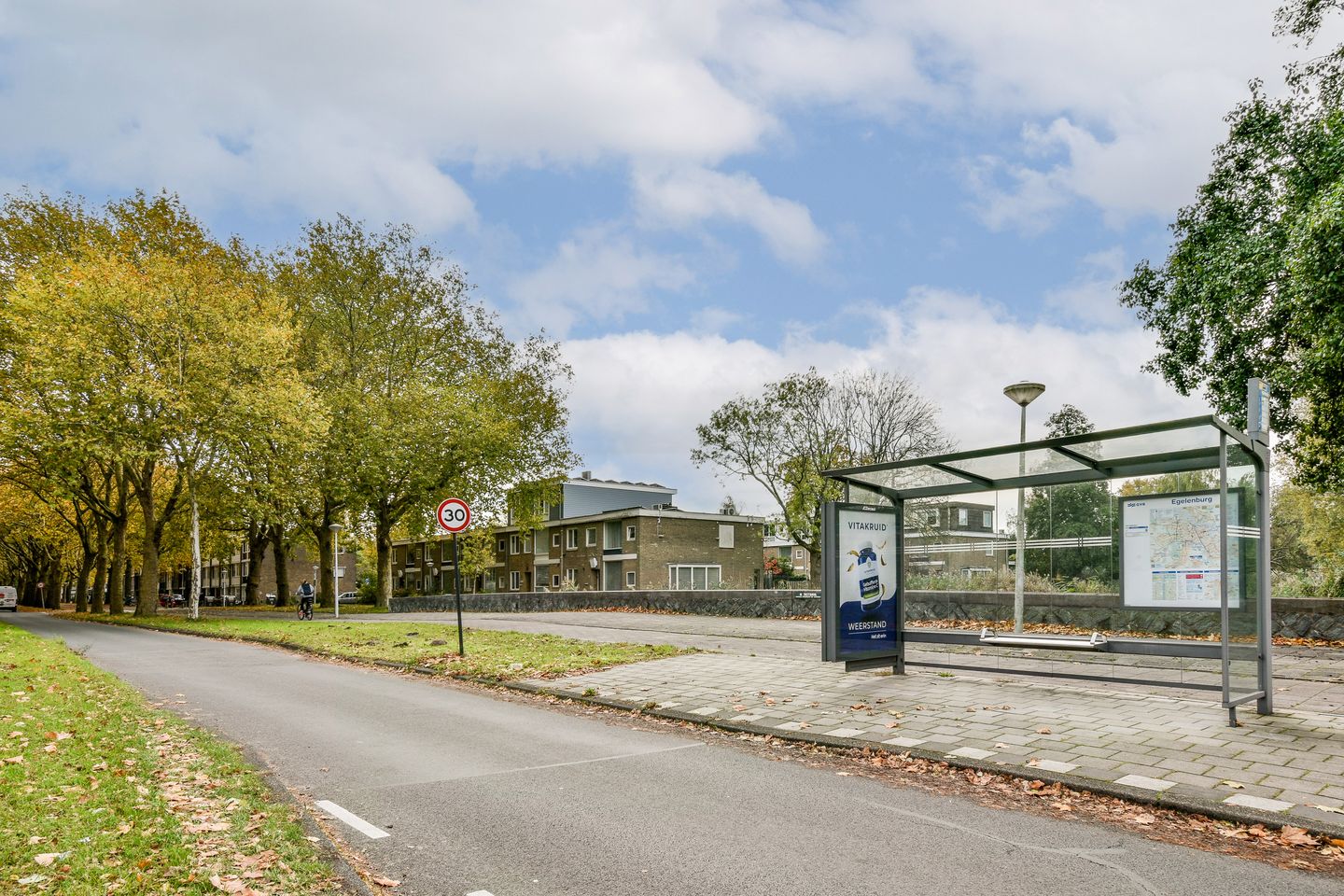 Photo 34 of Van der Boechorststraat 44