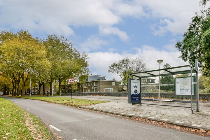 Foto 34 van Van der Boechorststraat 44