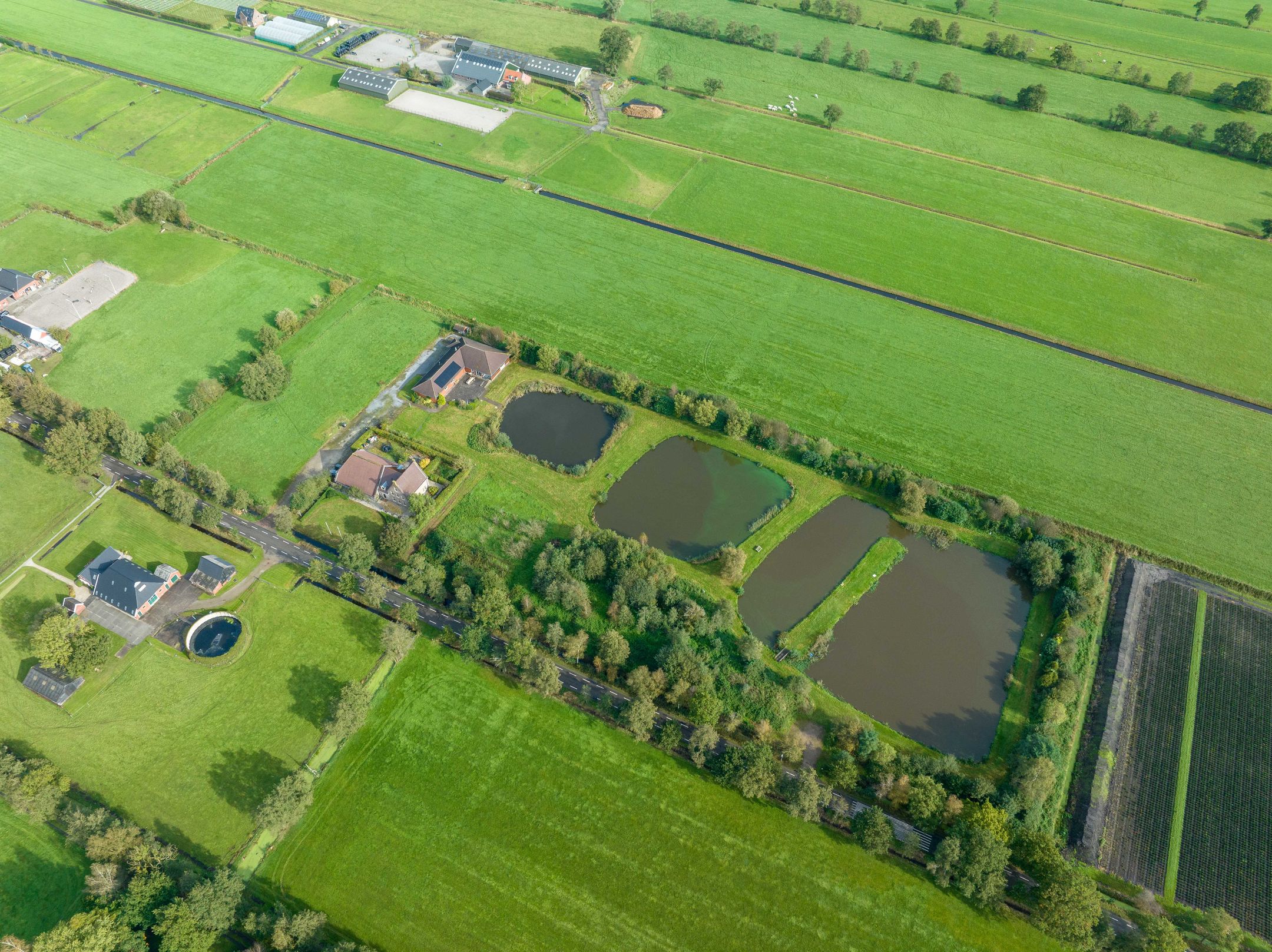 Foto 78 van Halbe Wiersemaweg 2-A