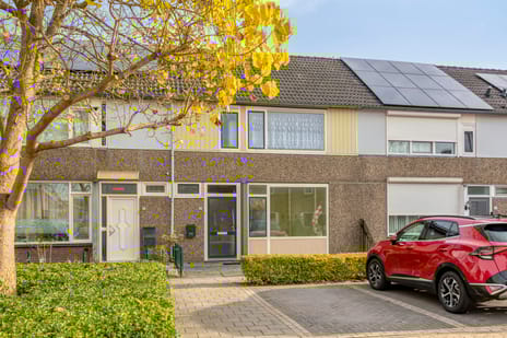 undefined main image