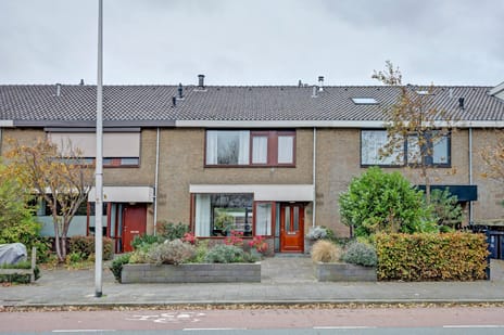 Vreeburghlaan thumbnail