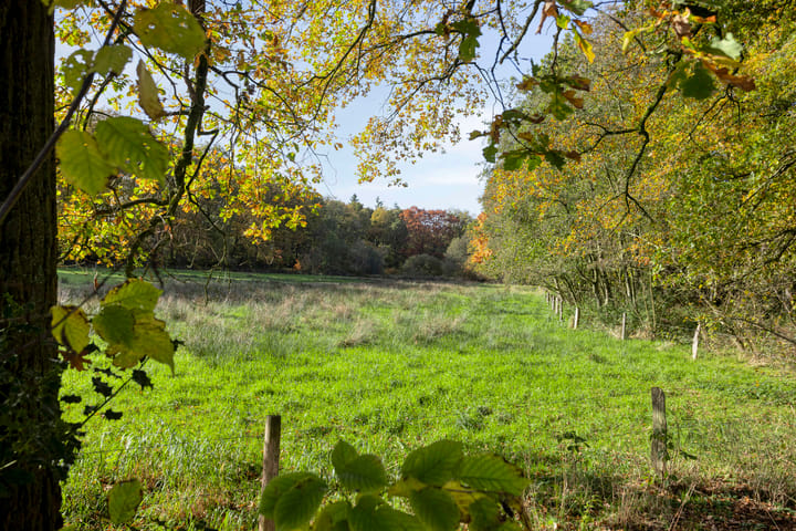 Photo 36 of Holtwiklanden 54