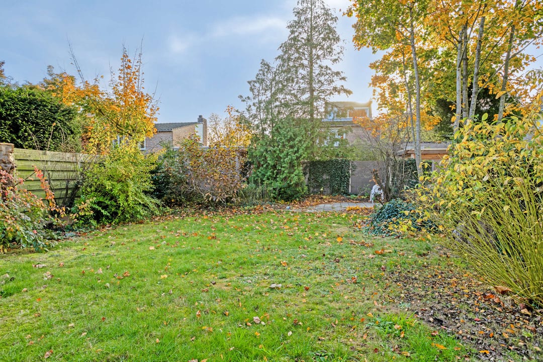 Photo 13 of Burgemeester van Grotenhuisstraat 38