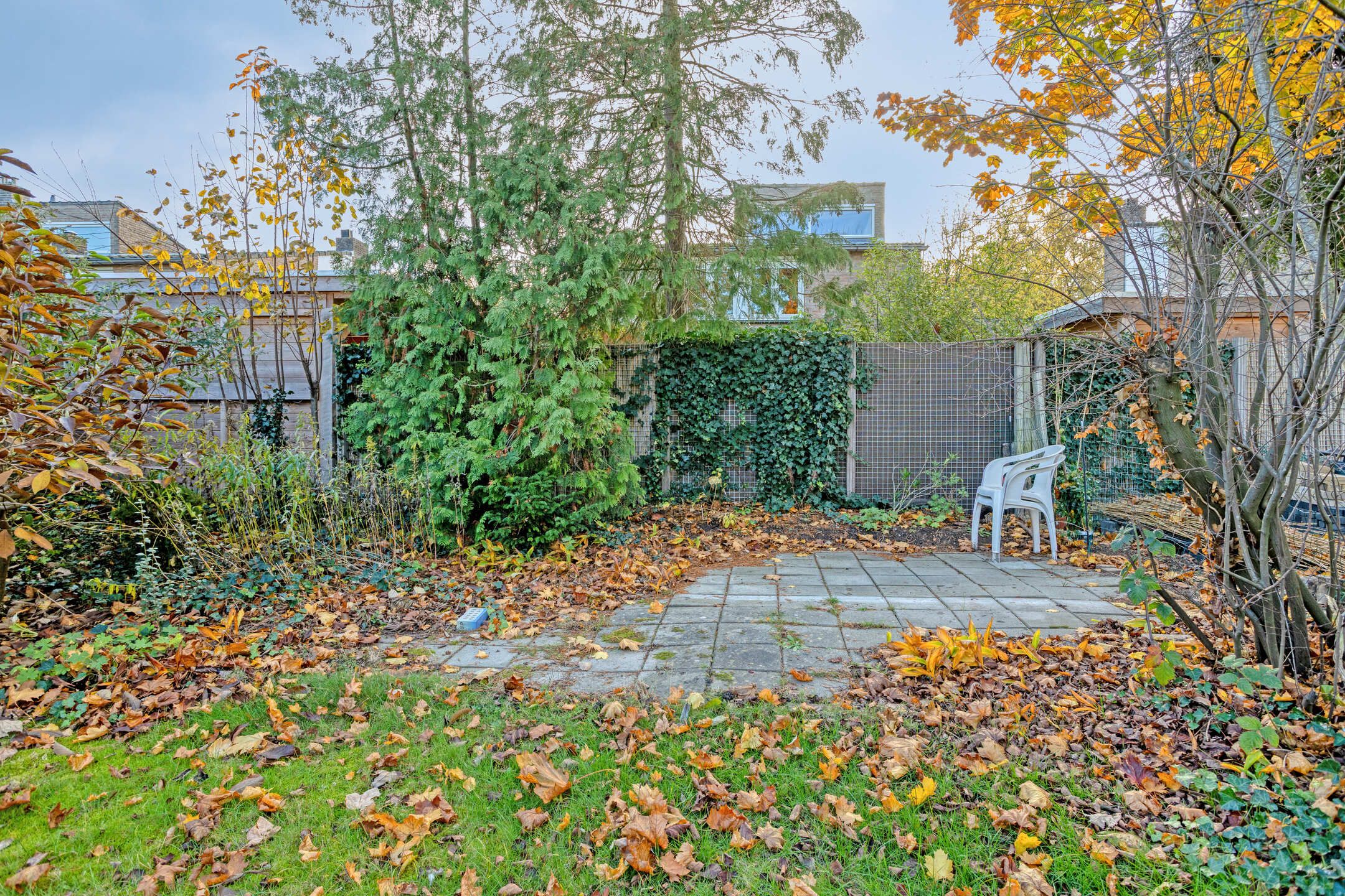 Photo 15 of Burgemeester van Grotenhuisstraat 38