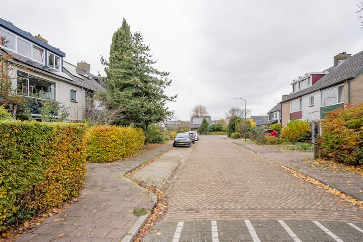 Photo 30 of Van Boetzelaerlaan 37