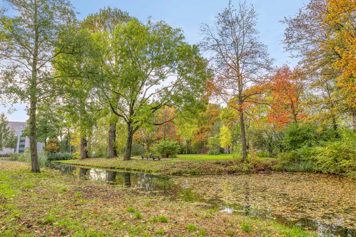 Photo 4 of van Godewijckstraat 249