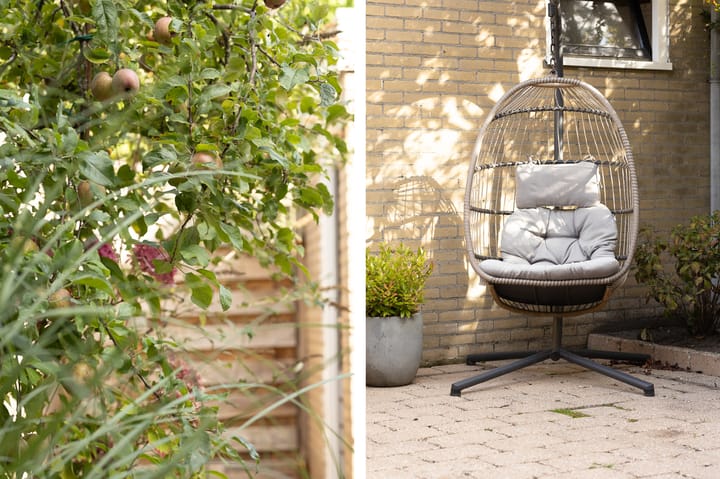 Foto 42 van Stetwaard 26