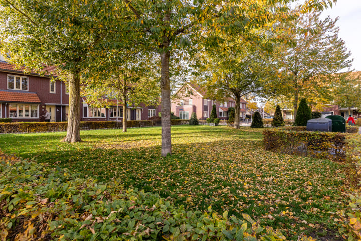 Foto 33 van Schaepmanstraat 6