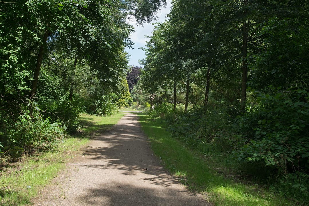 Photo 47 of Geinoord 2