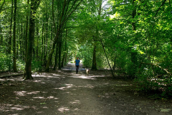 Foto 48 van Geinoord 2