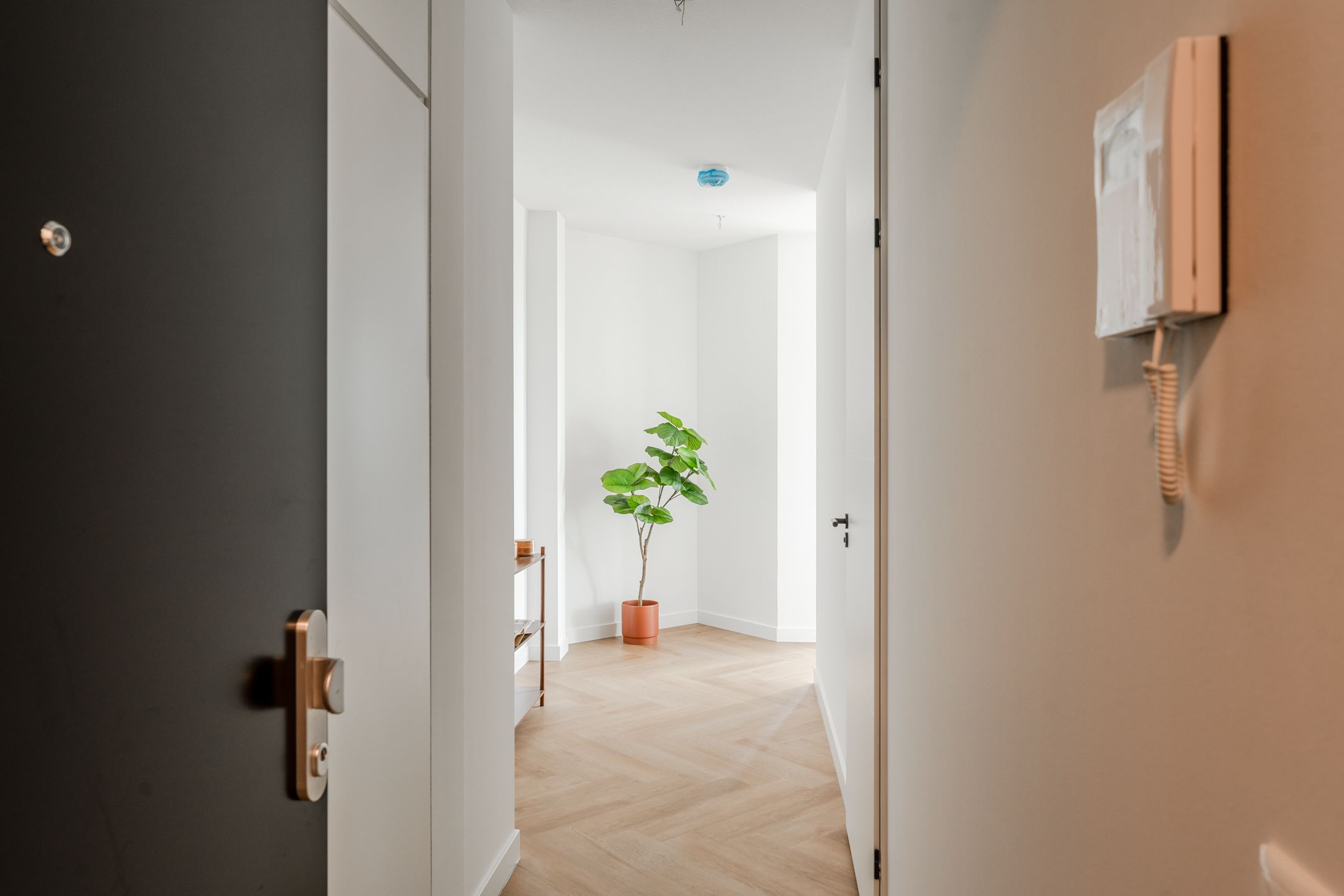 Foto 9 van Niemeyerstraat 253