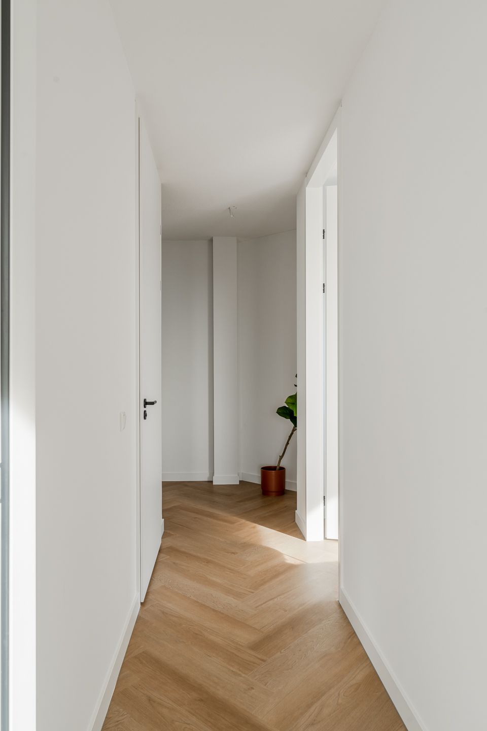 Foto 44 van Niemeyerstraat 253