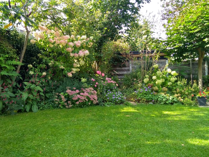 Foto 44 van Meidoornlaan 22