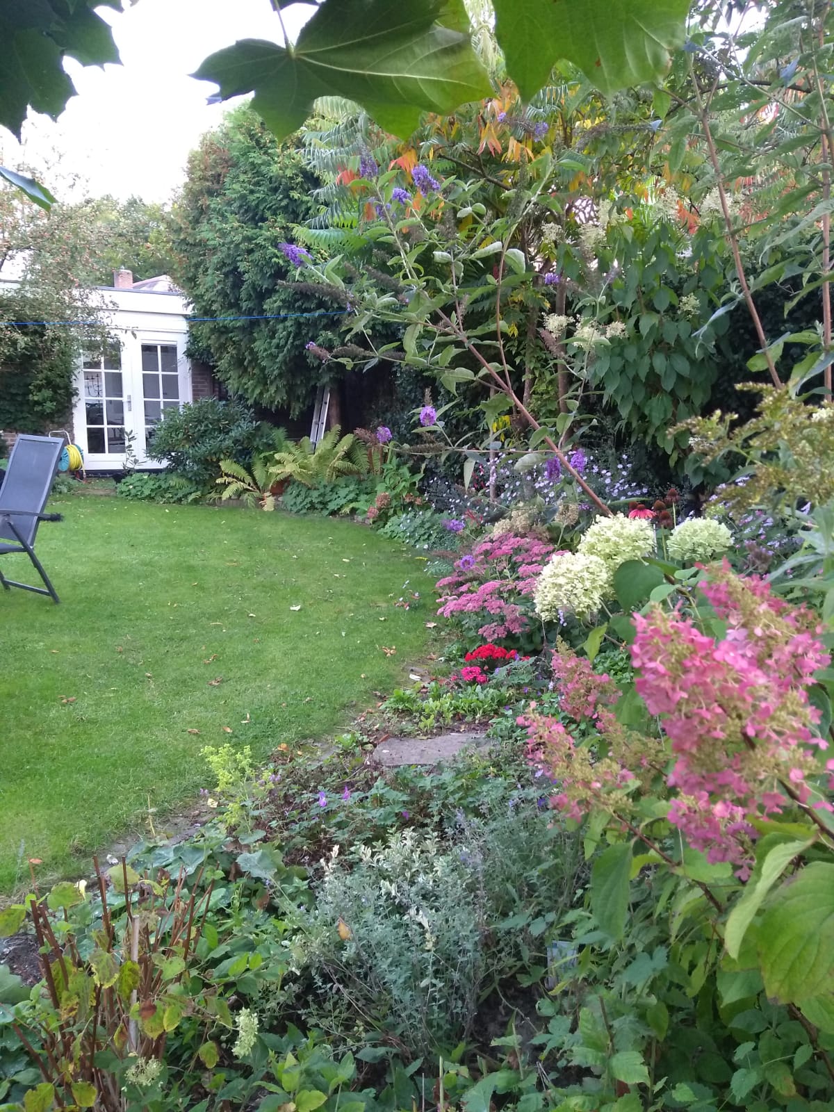 Foto 45 van Meidoornlaan 22