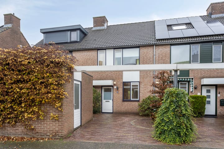 Photo 4 of Argusvlinder 10