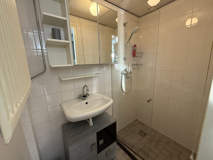 Foto 7 van Stellendamstraat 69-B