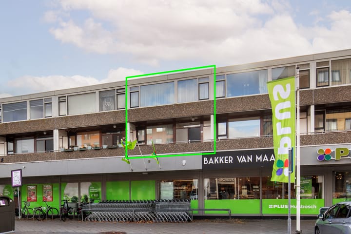 Photo 19 of Palet 18