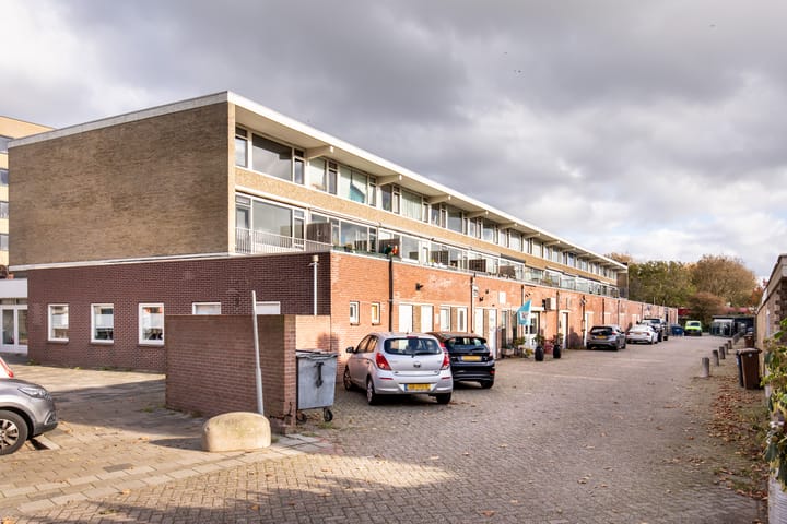 Photo 21 of Palet 18