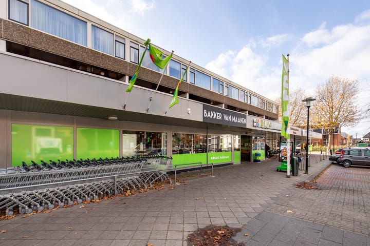 Photo 22 of Palet 18