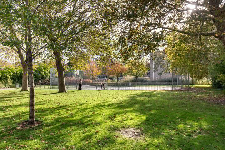 Photo 24 of Palet 18