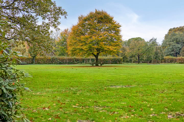 Photo 34 of Elsenburg 23