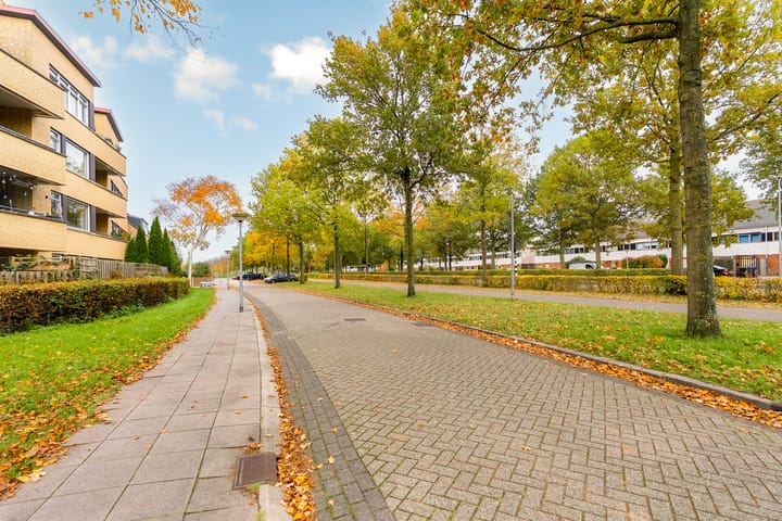 Photo 25 of Johannes Vermeerstraat 132