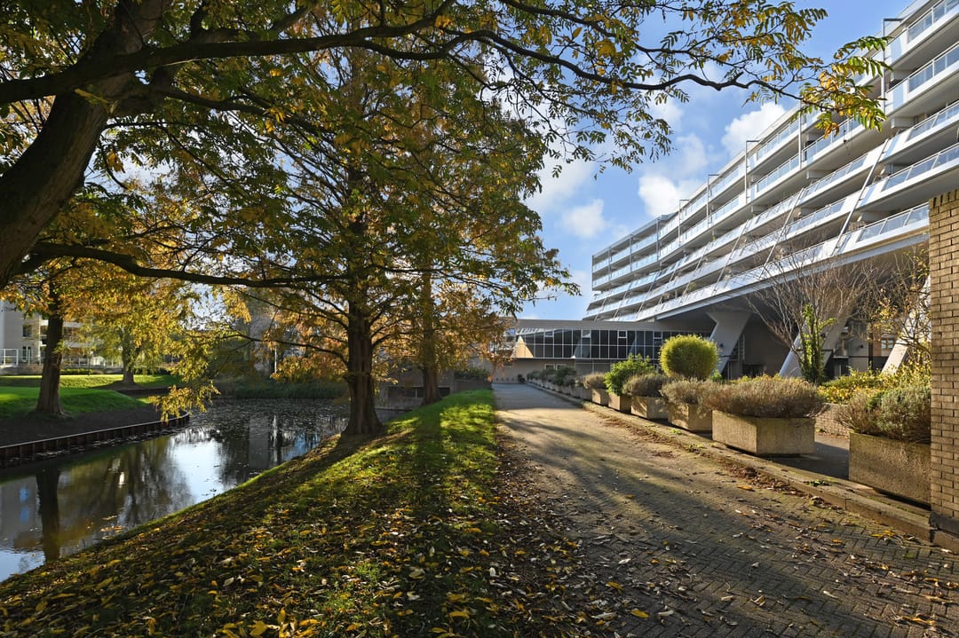 Foto 1 van Burgemeester Feithplein 26