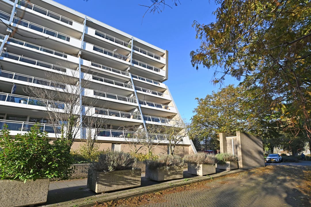 Foto 2 van Burgemeester Feithplein 26