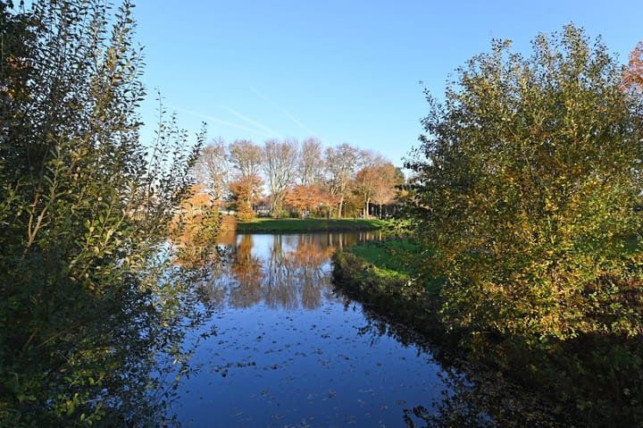 Foto 30 van Burgemeester Feithplein 26