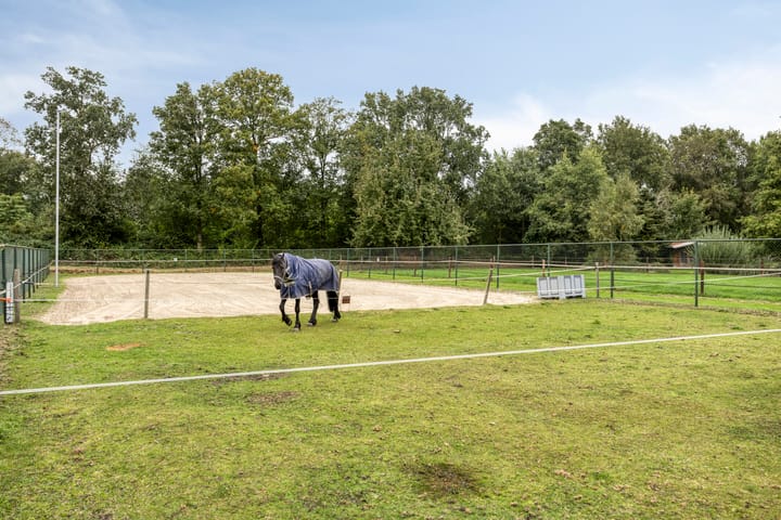 Foto 48 van Veenhofsweg 41