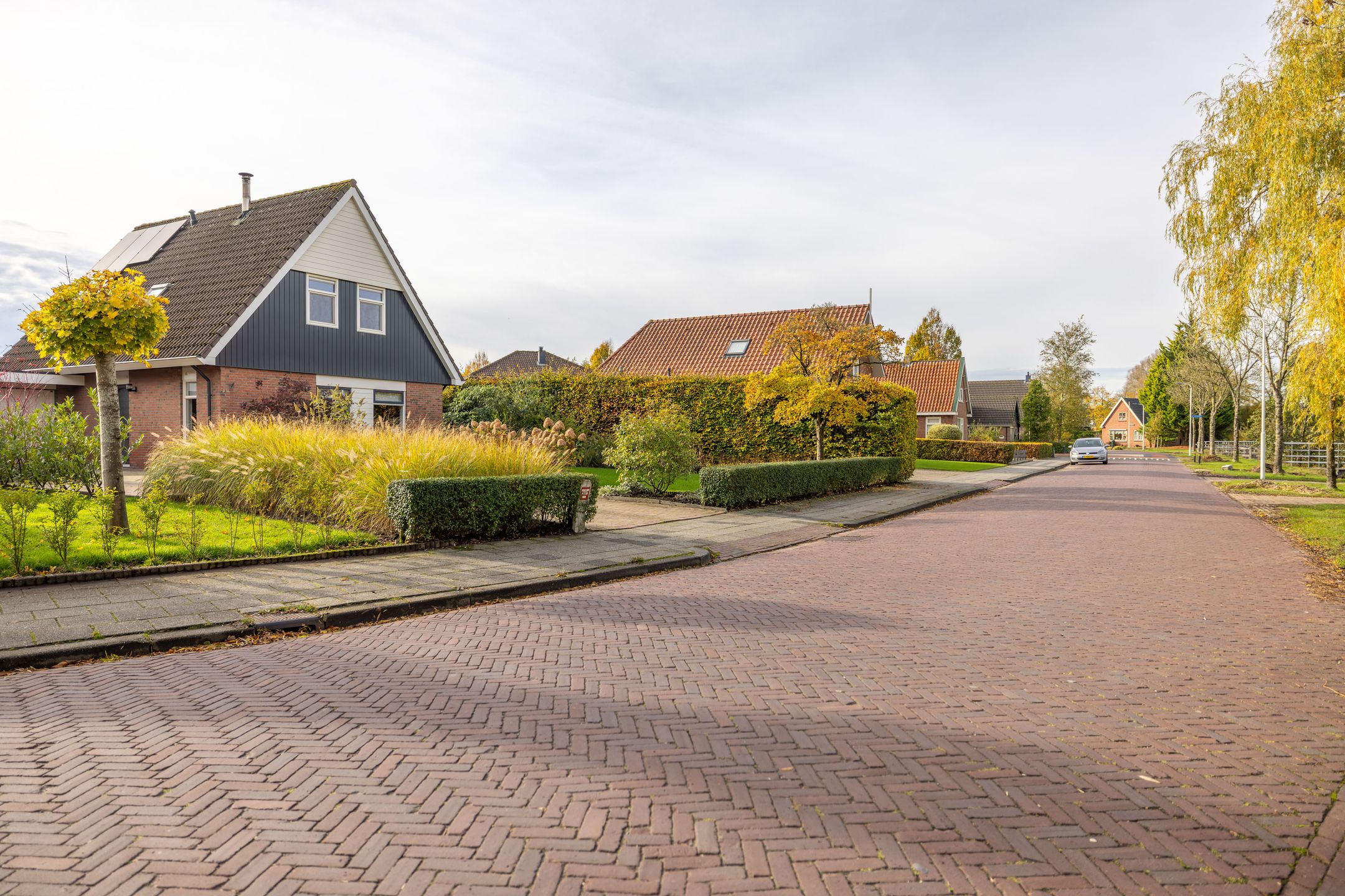 Foto 48 van Ds. Zylstrawei 14