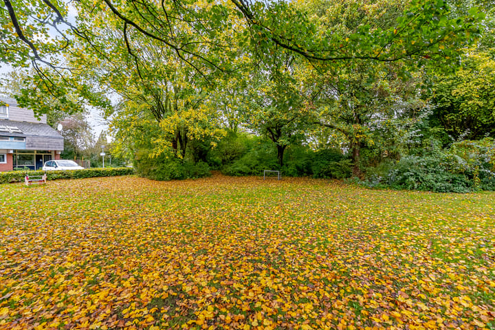 Photo 27 of Bastion 161