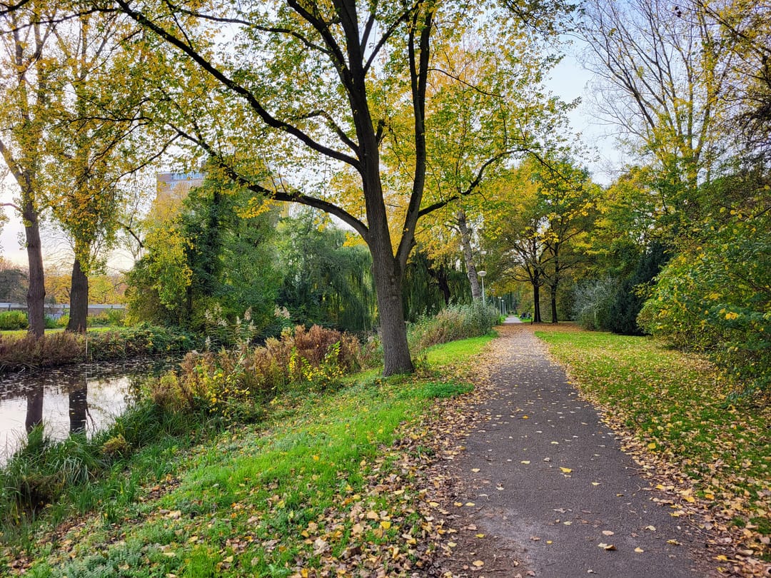 Foto 16 van Nijenburg 32