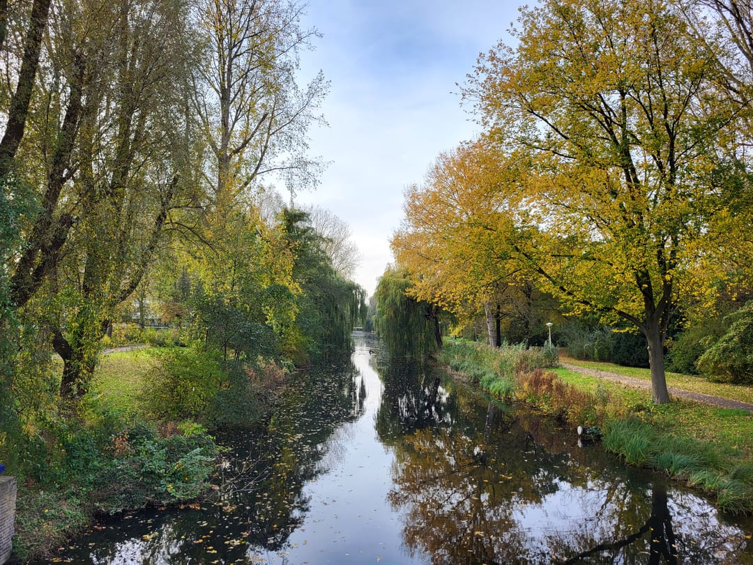 Foto 17 van Nijenburg 32