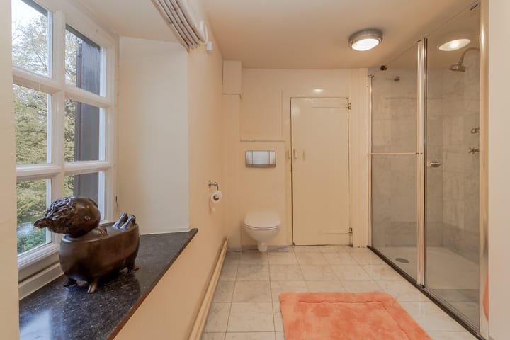 Foto 67 van Oud Lemiers 10