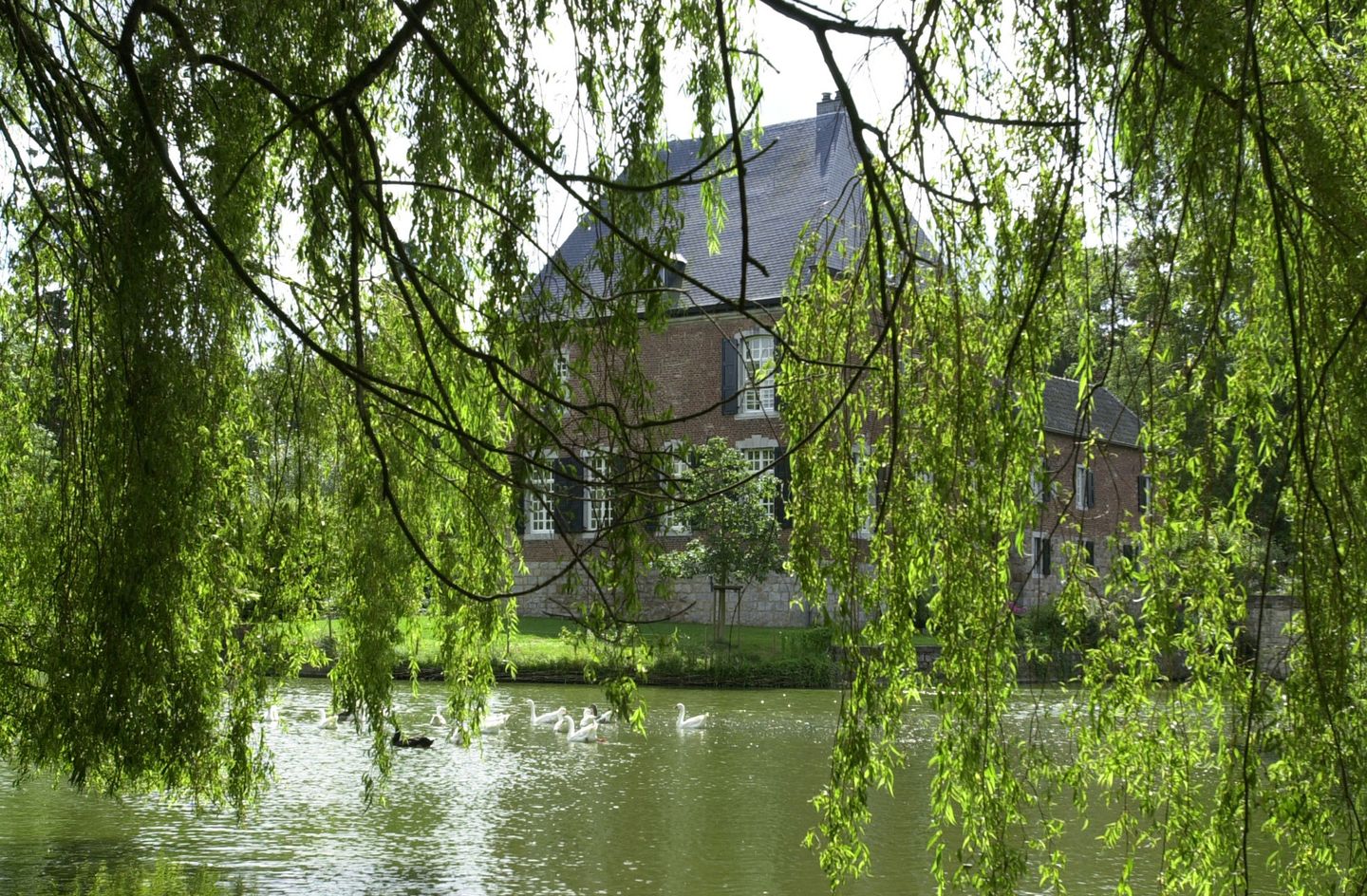 Foto 110 van Oud Lemiers 10