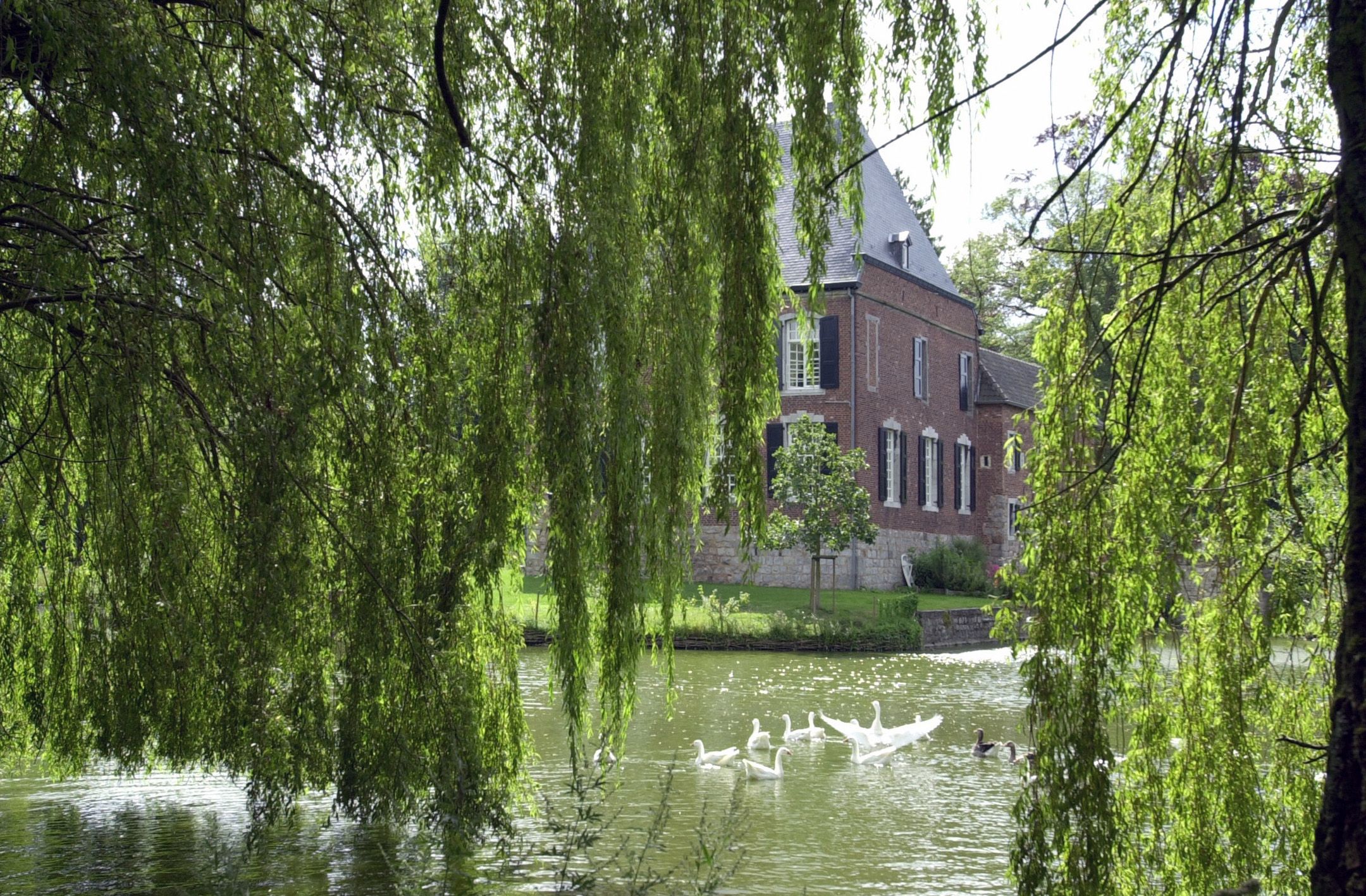 Foto 108 van Oud Lemiers 10