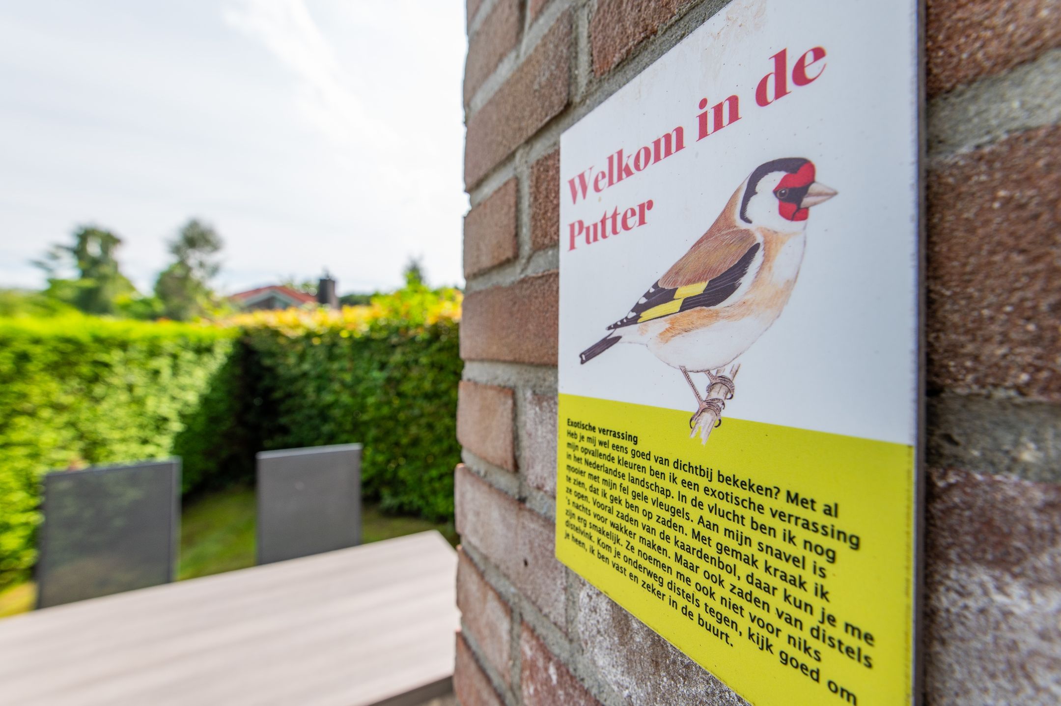 Foto 12 van Het Zwiggelterveld 153