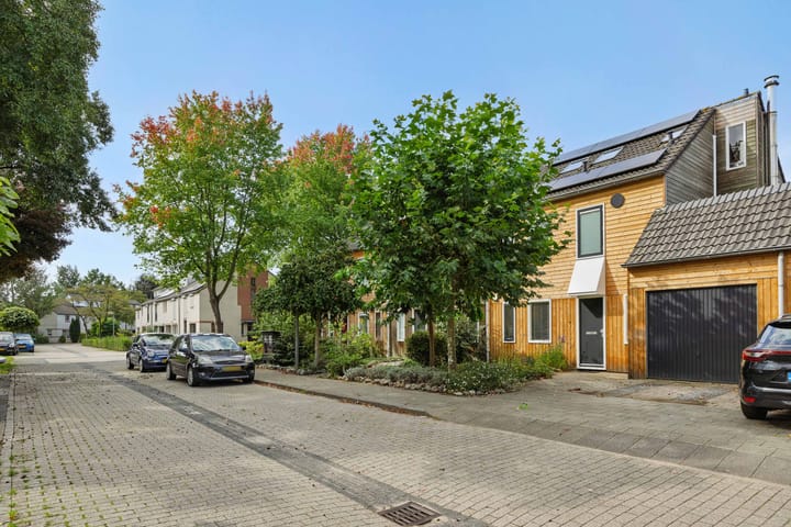 Foto 35 van Diamantborch 27