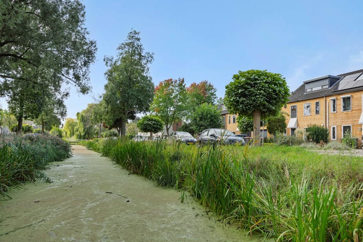 Foto 38 van Diamantborch 27