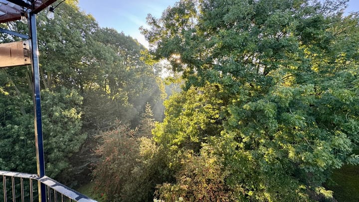 Foto 24 van Pernambucodreef 27