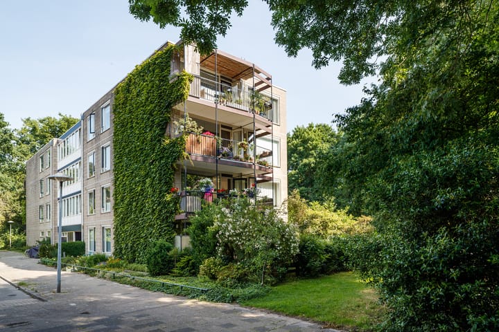 Foto 31 van Pernambucodreef 27