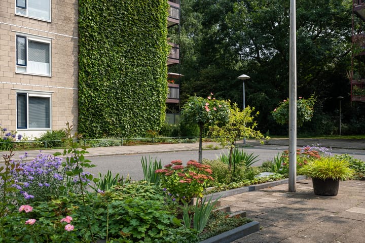 Foto 32 van Pernambucodreef 27